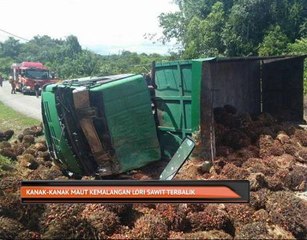 Kanak-kanak maut kemalangan lori kelapa sawit terbalik
