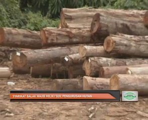 Syarikat balak wajib miliki Sijil Pengurusan Hutan