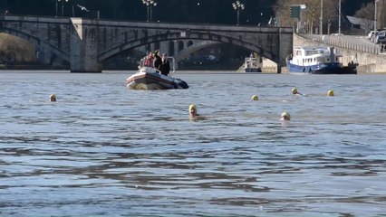 Huy: les participants plongent dans la 53ème édition de la "traversée hivernale de la Meuse"