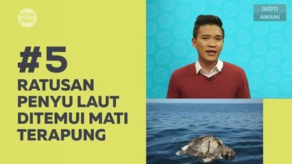 Kompak (Episod 96): Ratusan penyu laut ditemui mati terapung