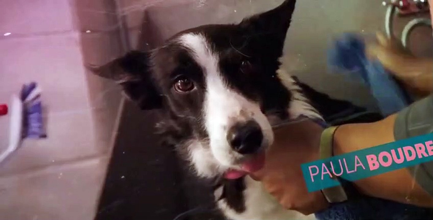 Strays S01 E05