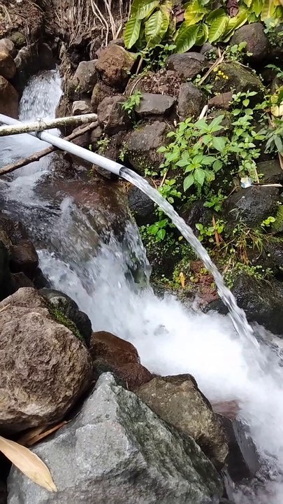 Sejernih air terjun calivornia