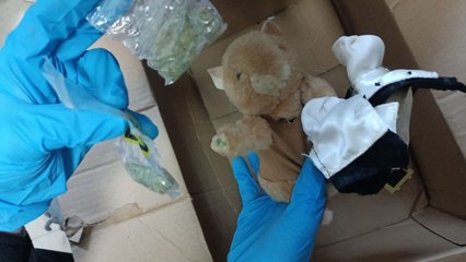 Hollanda’dan Aksaray’daki sevgilisine oyuncak ayı içerisinde esrar gönderdi