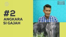 Kompak (Episod 90): Angkara si gajah