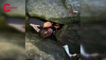 Deniz kenarındaki kayalıklarda doğuran köpek ve yavruları için yurttaşlar seferber oldu