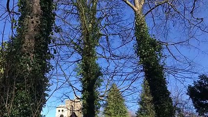 Snowdrop walk returns to Greatham Hall Gardens after two-year absence due to Covid-19