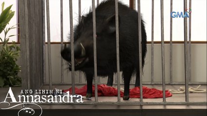 Ang Lihim ni Annasandra: Annasandra is a monster! | Episode 78