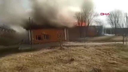 Ünlü Ukraynalı ressam Pryimachenko'nun 25 eseri yandı