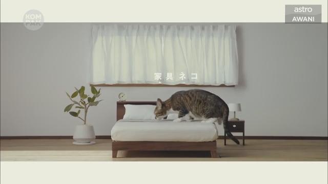 Kompak (Episod 70): Fenomena hujan batu, katil untuk si comel