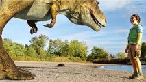 La Chasseuse de Dinosaures | Film Complet en Français | Famille, Aventures