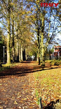 ¿Hay inviernos y veranos en otros planetas?