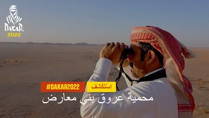 محمية عروق بني معارض- داكار 2022