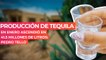 Producción de Tequila en enero ascendió en 41.5 millones de litros: Pedro Tello