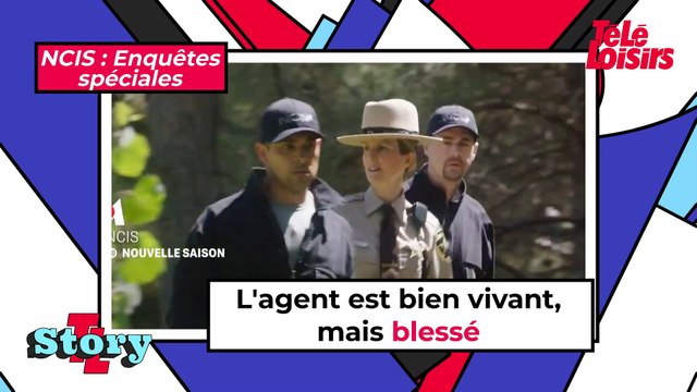 NCIS : Enquêtes spéciales (M6) : ce qu'il faut savoir sur la saison 19