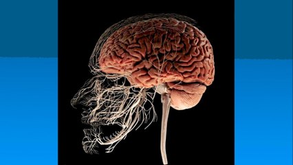 bd-dolores-provocados-por-problemas-dentales-280222