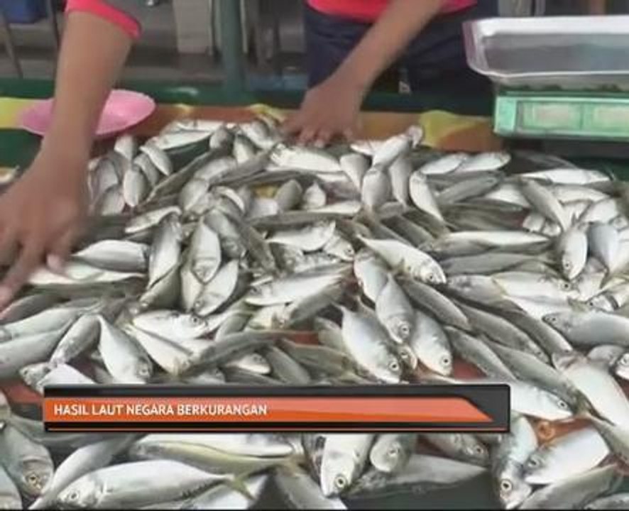 Hasil laut negara berkurangan