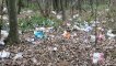 Volunteers join mammoth effort to clear rubbish in Micklefield
