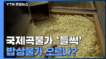 우크라 사태로 국제곡물가 '들썩'...밥상물가 오르나? / YTN