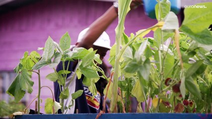 The alternative schools offering new horizons to children in Malaysia