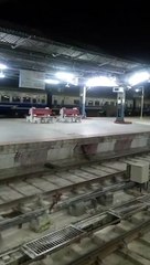 Un éléphant se balade dans une gare en inde...