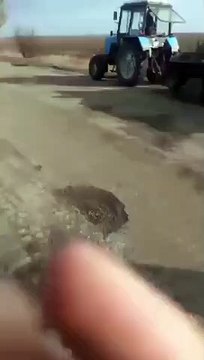 Des fermiers volent un char russe en panne avec leur tracteur !