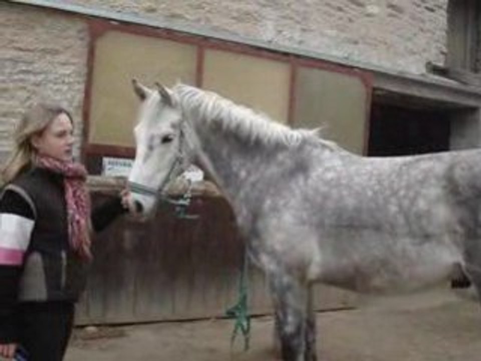 Jade , moi et les chevaux 088