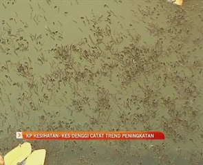 KP kesihatan - Kes denggi catat trend peningkatan