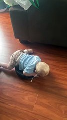 Ollie the Baby Loves Riding Our Roomba “Rhonda”
