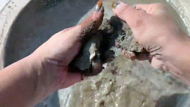 Gritty earthy sand pouring in water with crumbling Cr; asmr chunks yt - crumbly crunchy asmr yt