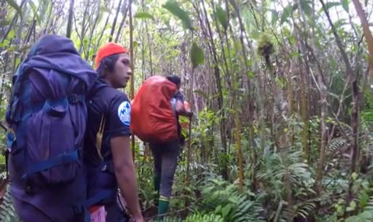 Lensa AWANI: Trans Gopeng