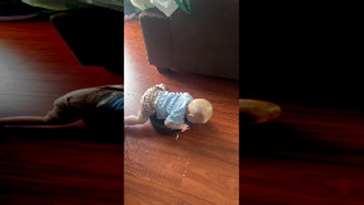 Ollie the Baby Loves Riding Our Roomba “Rhonda”