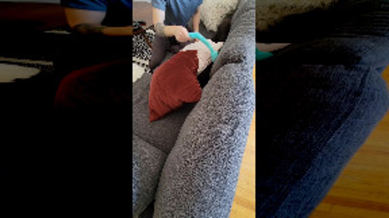 Beano Bolts Every Time He Hears the Automatic Feeder