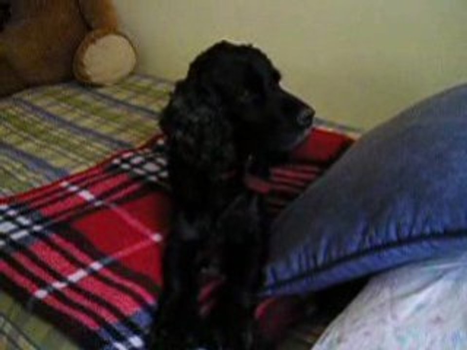 Kiko a la expectativa