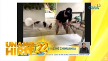 Unang Hirit: Bida Pets na nagpapakitang gilas!