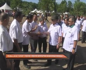 Pembalakan Haram: Undang-undang berkaitan akan dikaji semula