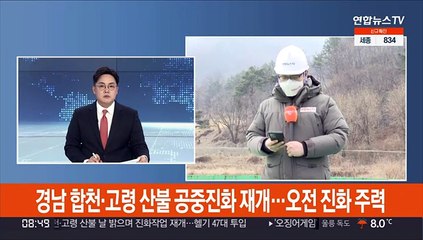 경남 합천·고령 산불 공중진화 재개…"오전 진화 주력"