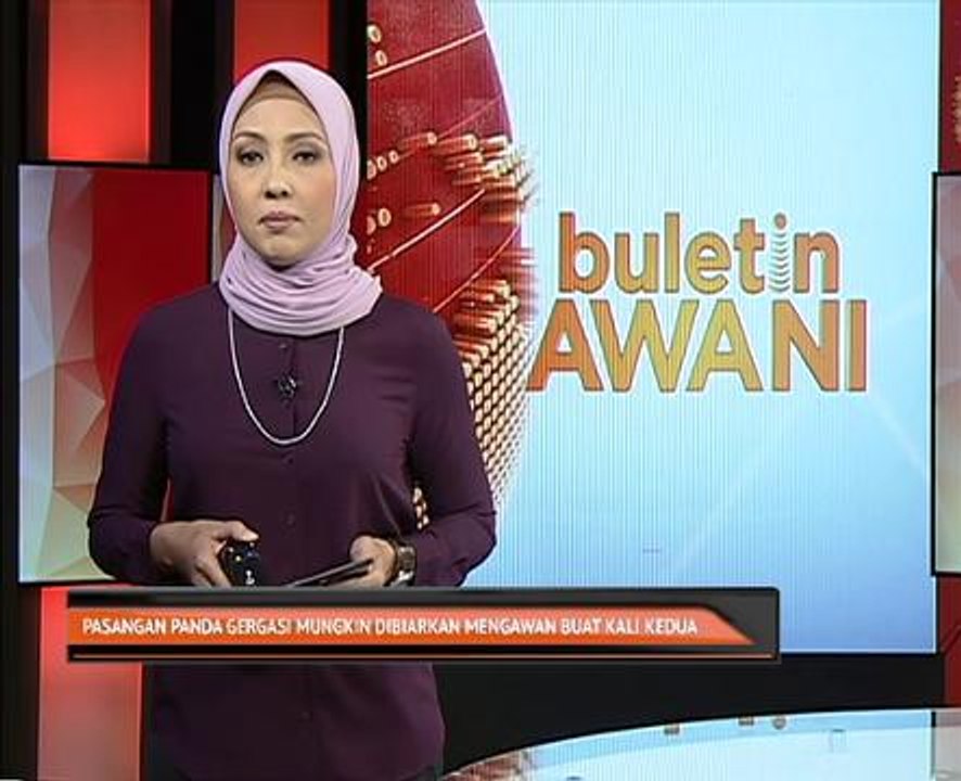 Pasangan panda gergasi mungkin dibiarkan mengawan buat kali kedua