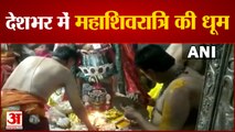 महाशिवरात्रि की धूम, महाकाल का किया गया विशेष श्रृंगार | Mahashivratri Celebration in Mahakal Ujjain