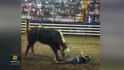 tn7-Montador-muere-luego-de-que-un-toro-le-majara-el-pecho-280222