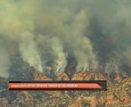 Kebakaran hutan semakin marak di Los Angeles