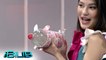 iBilib: Lexi Gonzales’ DIY piggy bottle bank| Life Hack