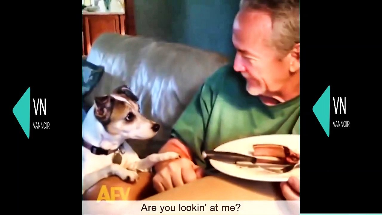 funniest animals 2022 #002