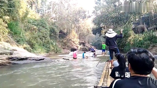 Damn Nature You Scary | Funny Scary Animal Encounters