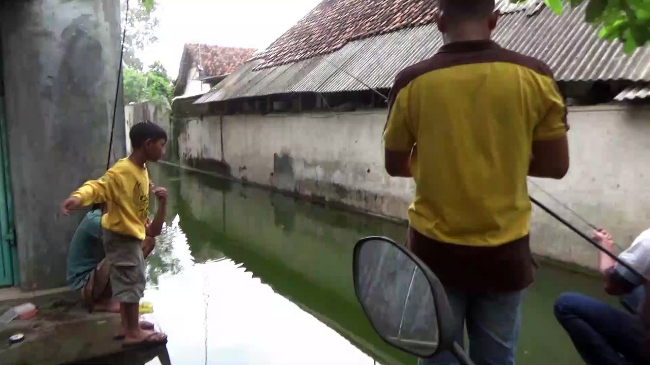 BOCIL MANCING IKAN - MANCING MODAL SENAR SAJA IKANPUN LAHAP
