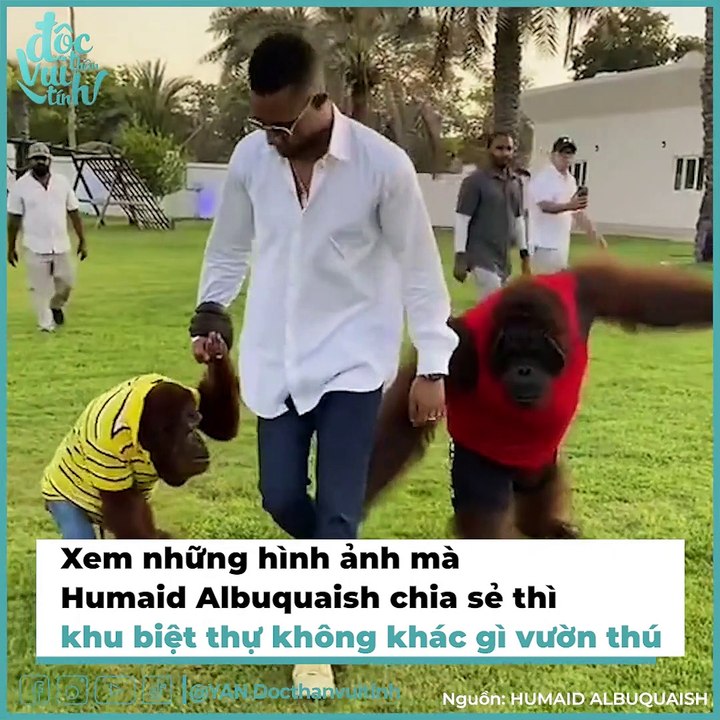 Thú Vui Độc Lạ Mà Chỉ Có Giới Nhà Giàu Dubai Mới Hiểu | Điện Ảnh Net