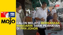Calon Melayu berbahasa Mandarin tarik perhatian di PRN Johor