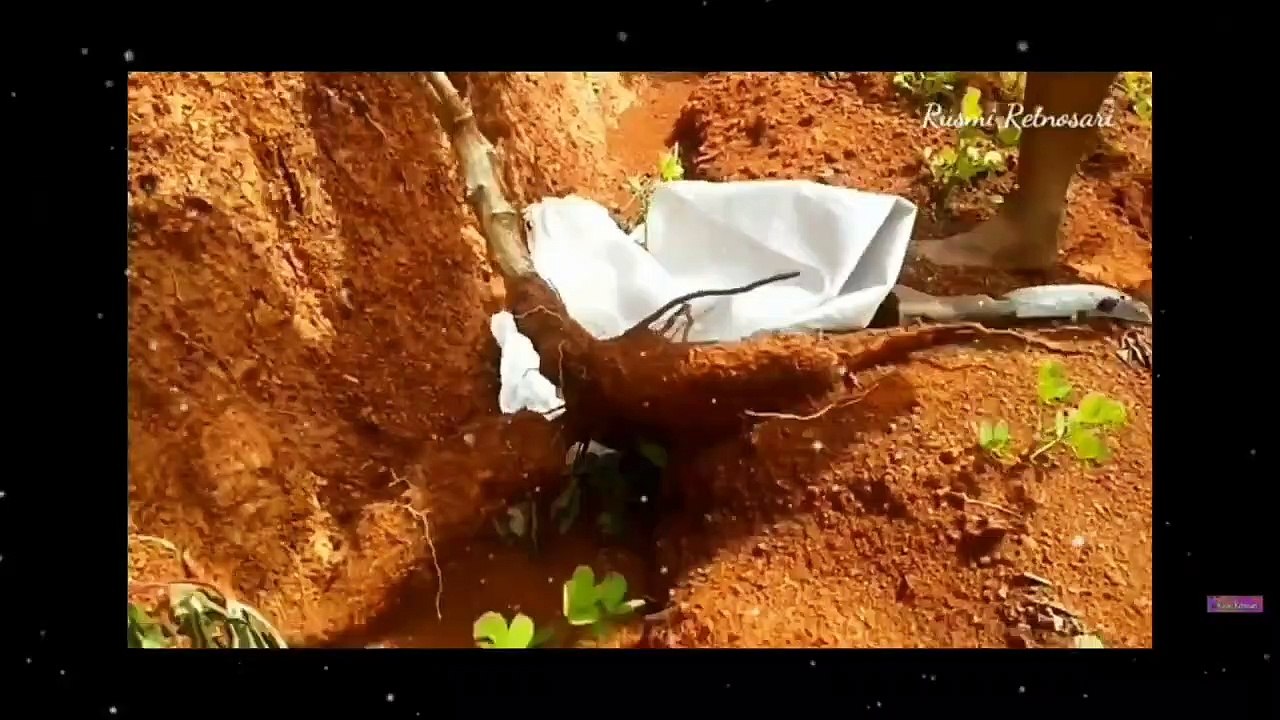 ASAL USUL NAMA INDONESIA - KALIAN WAJIB TAU !!