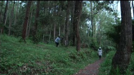 Dendam Aurora sarat konflik dan tragedi