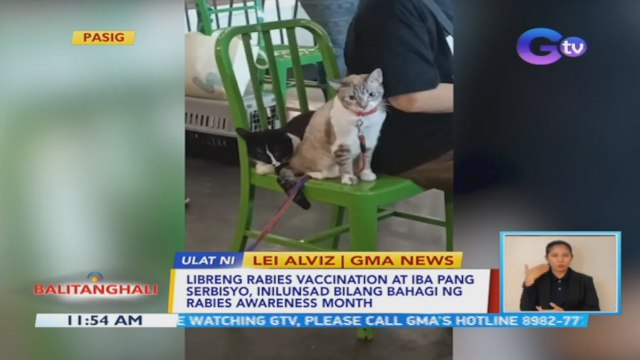 Libreng rabies vaccination at iba pang serbisyo, inilunsad bilang bahagi ng Rabies Awareness Month | BT