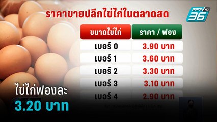 ไข่ไก่สุดอั้น ปรับขึ้น 30 สตางค์/ฟอง  | เที่ยงทันข่าว